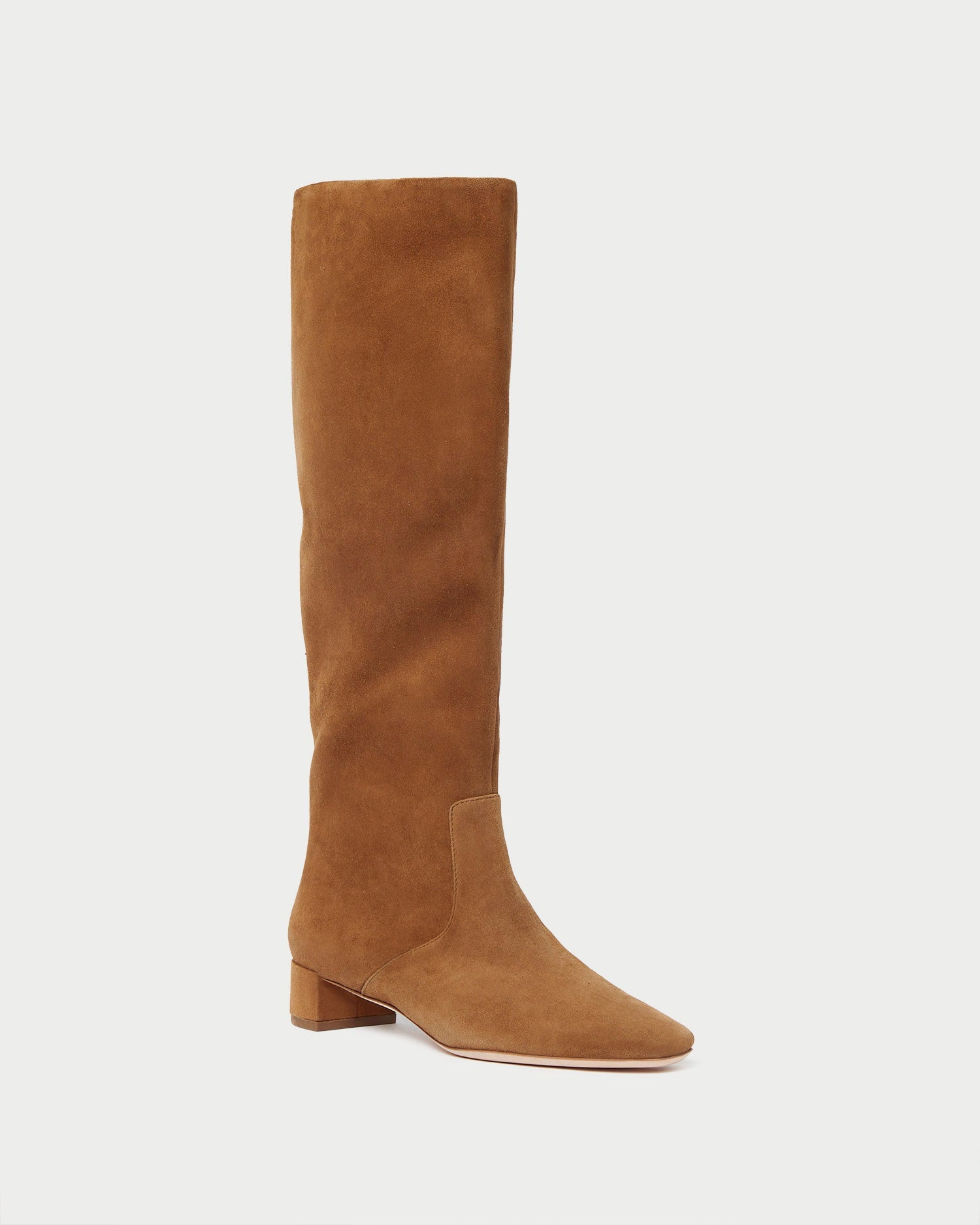 Indy Cacao Suede Tall Boot | Loeffler Randall Women