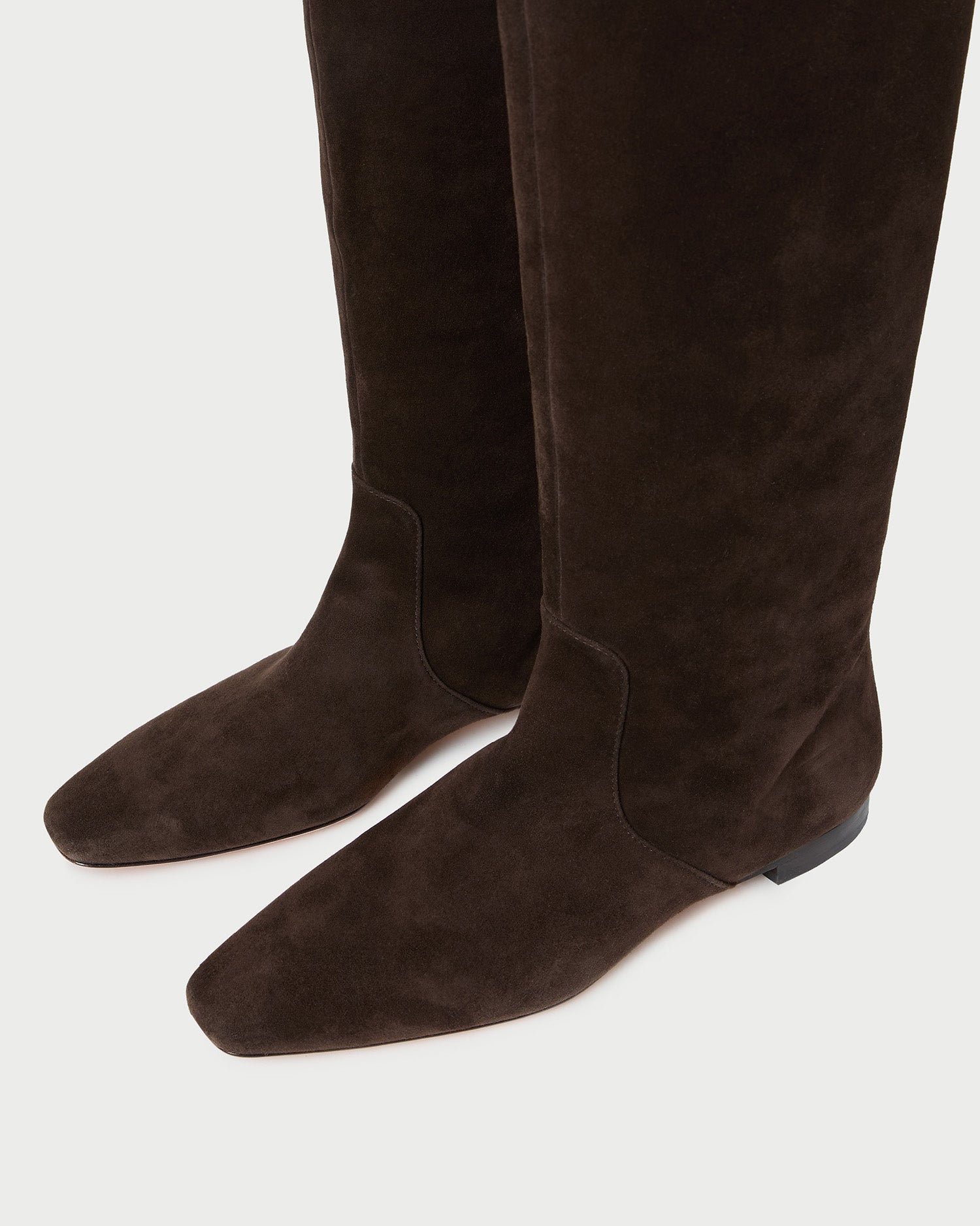 Loeffler Randall Women | Lillian Brown Suede Tall Boot